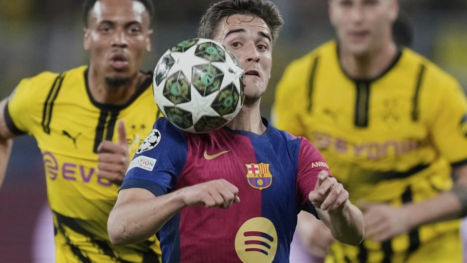 乐部周二表 乐部周二表