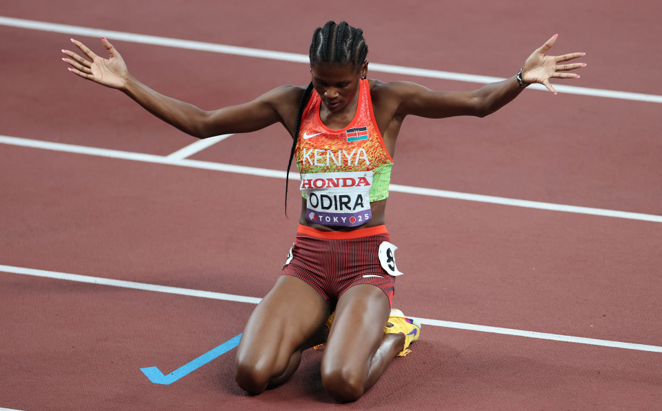 OLXen, img, gA OLXen, img, gA